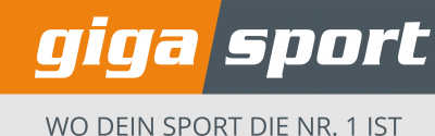 logo gigasport